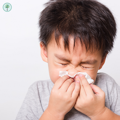 alergia a anti-inflamatórios